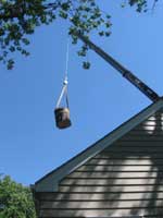 Crane Tree Removal