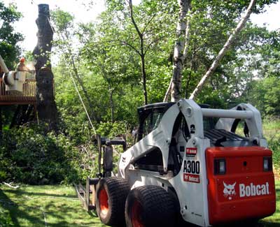 Tree Service Loader