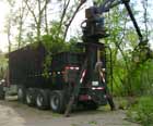 Tree Removal Truck