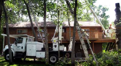 Tree Service Lift Truck