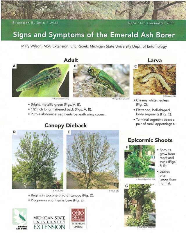 EAB Pictures