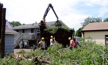 Tree Service Cleanup